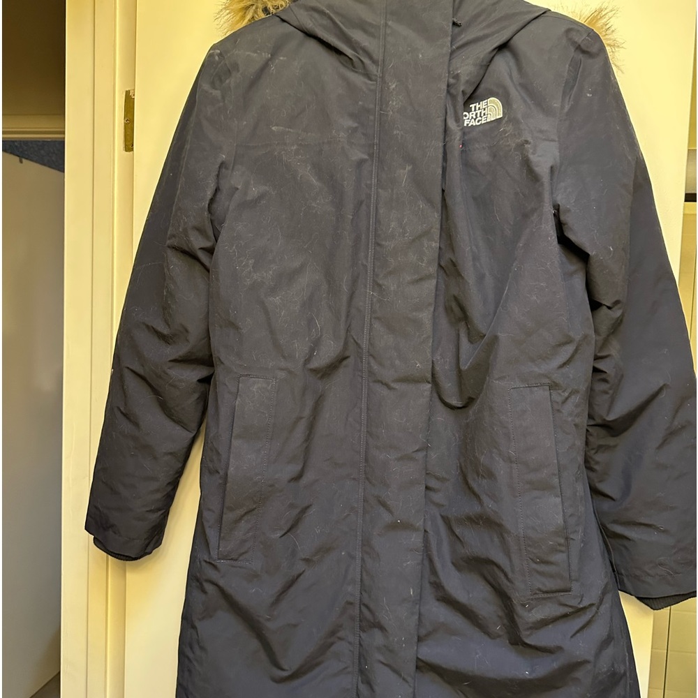 North face 550 Dryvent parka